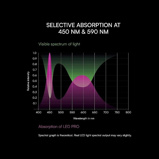 Graph of selective light absorption wavelengths.